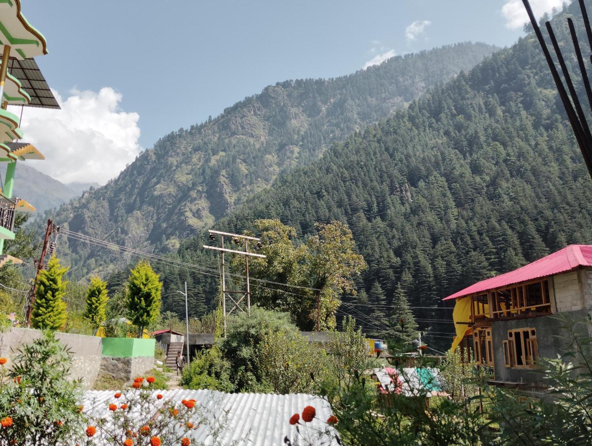 Dog N Hill Hotell Kasol Eksteriør bilde