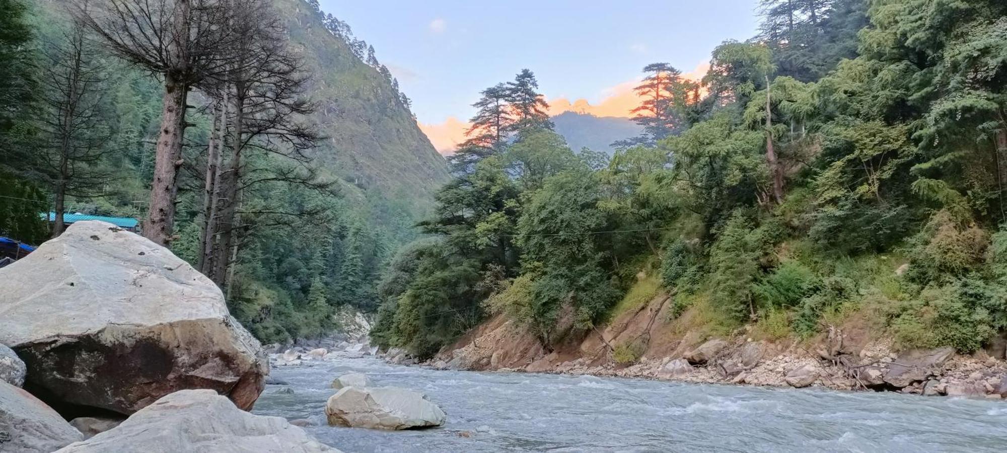 Dog N Hill Hotell Kasol Eksteriør bilde