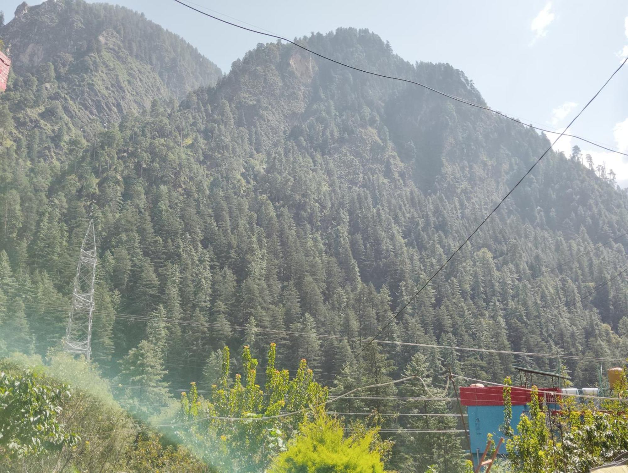 Dog N Hill Hotell Kasol Eksteriør bilde