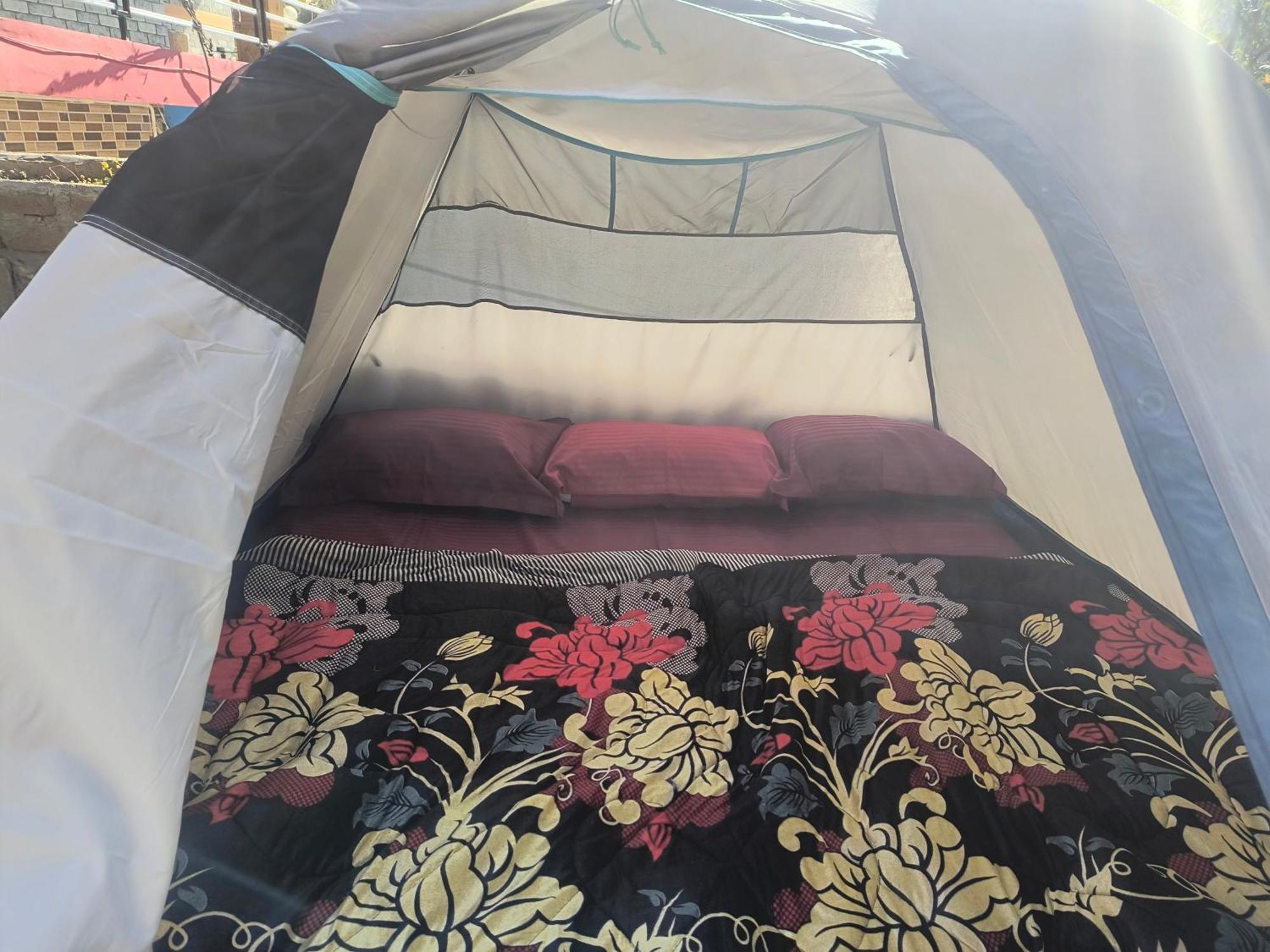Dog N Hill Hotell Kasol Eksteriør bilde