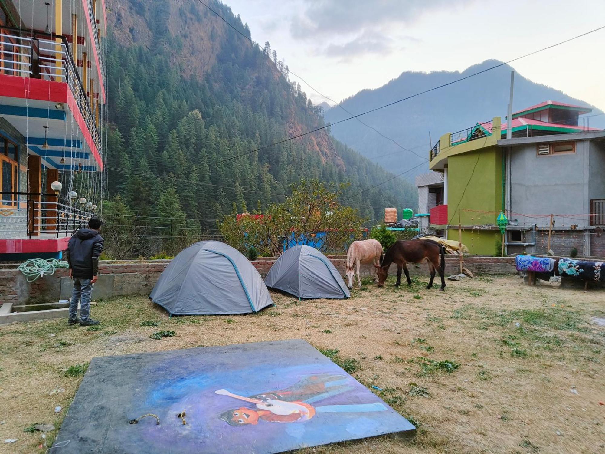 Dog N Hill Hotell Kasol Eksteriør bilde